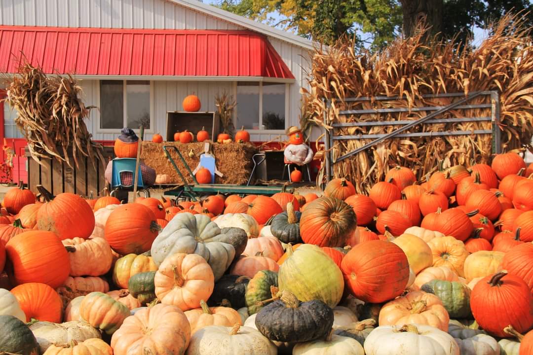 BYF 2020 Ohio Photo 4