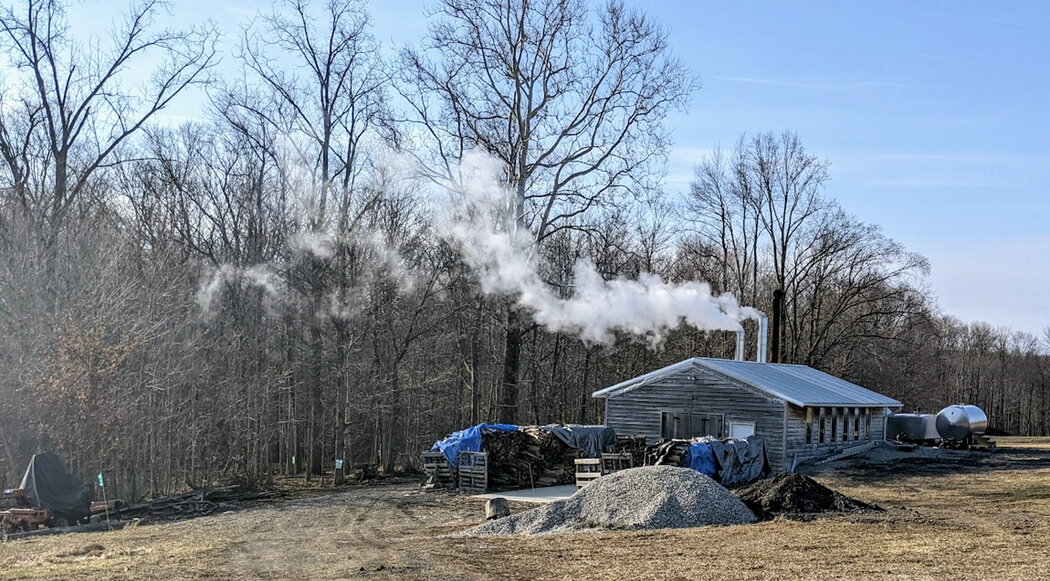 There’s a Hint of Sweetness