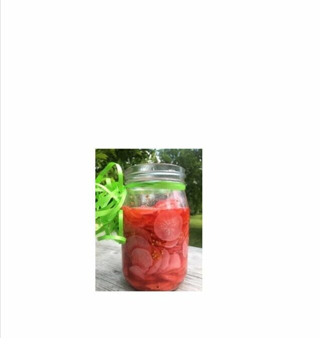 Spicy Refrigerator Radish Pickles