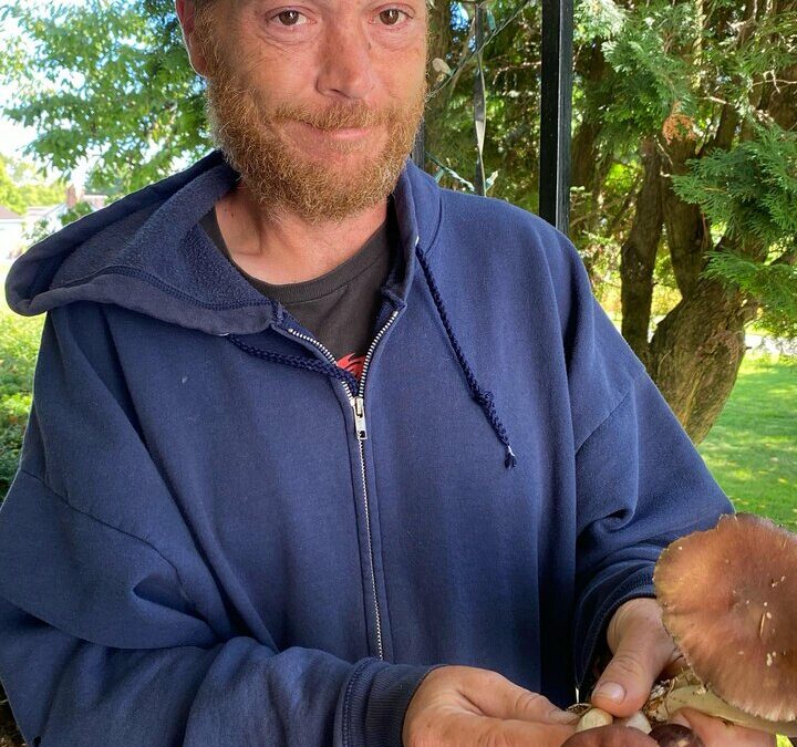 CSA market boxes offering gourmet mushrooms