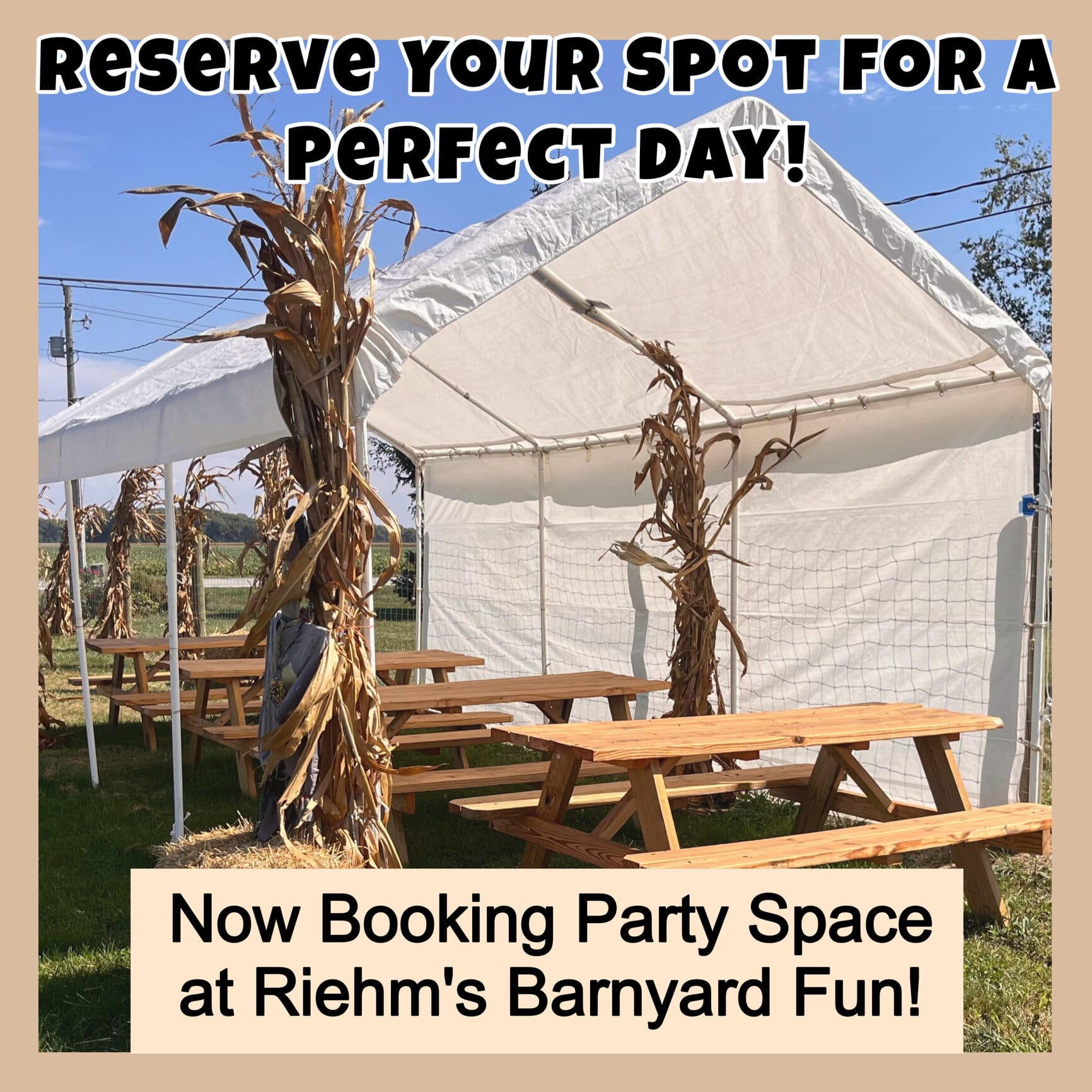 rsz_party_space_tent_rental_with_corn_stalks-min