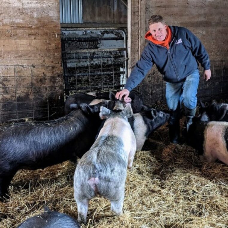 Farmer Phil with pigs