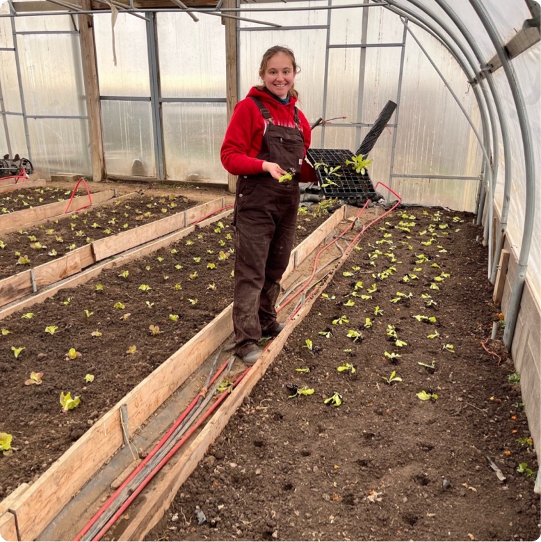 woman planting vegetables in a greenhouse