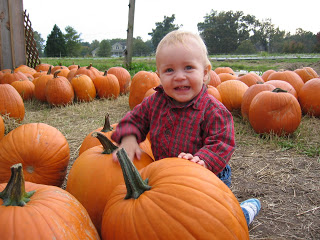 baby with red shirt in pumpkin patch