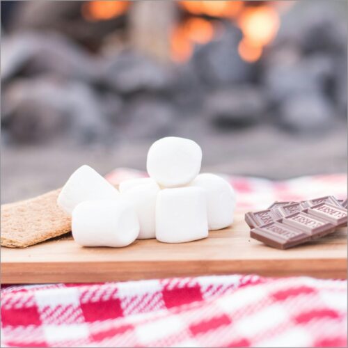 smores-picnic